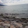 Davut 的头像