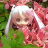 梨花ちゃま profil fotoğrafı