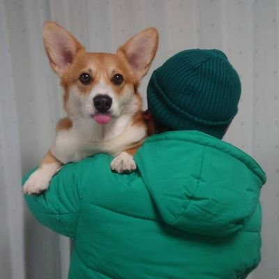 緑のおじさん(フィール父)'s profile picture