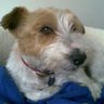 Jock Shepshed profil fotoğrafı