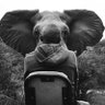 Bantu profil fotoğrafı