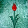 Фото профиля Ebuş