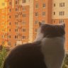 BOBO_1988 profil fotoğrafı