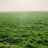Фото профиля ابوسلطان