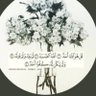 محبة الجنان🎗's profile picture
