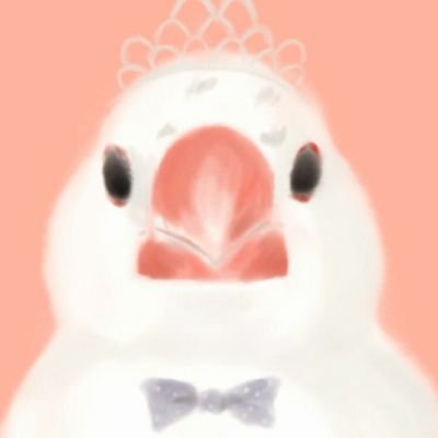 kotorisan427's profile picture