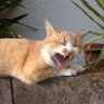 さゆこ's profile picture