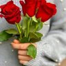 علي القباني's profile picture
