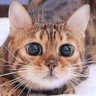 牧田's profile picture