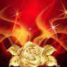 Lesley Anne Clark's profile picture