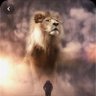 Lion2020 的头像