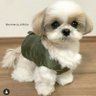 SimbaLuv's profile picture
