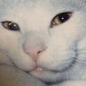Profilbild von ぽち a.k.a. JJI(ジェイ・ジェイ・アイ)