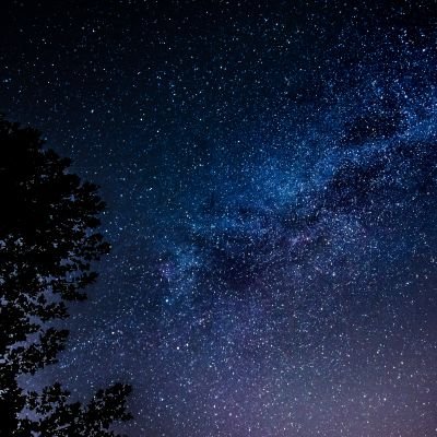꿀팁 저장하는 계정's profile picture