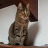 Profilbild von anna61