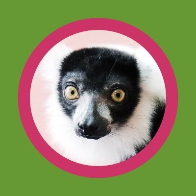 monkey_park's profile picture
