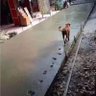 路 profil fotoğrafı