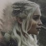 David Targaryen's profile picture