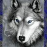 @estepariolobo 8's profile picture