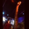 Daniel García 🦖🦕's profile picture