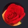 ماكنتوش ١٠٠ 的头像