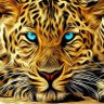 محمد's profile picture