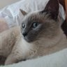 るりる's profile picture