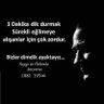 T.C Seyhan Şenocak's profile picture