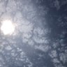 Sleezyy profil fotoğrafı