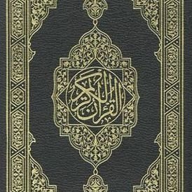 mh224411's profile picture