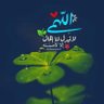 Hatem Reda's profile picture