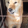 ムゲン profil fotoğrafı