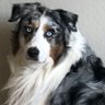 Profilbild von BigBlue