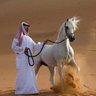 Фото профиля نـومـآس