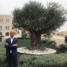 Mohammed Daghamin's profile picture