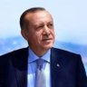 Sema DÜZENLİ's profile picture