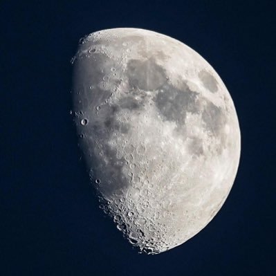 bwfcbwfc's profile picture