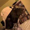 Jakub's profile picture