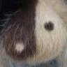 tam's profile picture