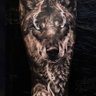 Lobo Cinzento 的头像