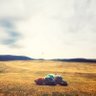Фото профиля Matty L