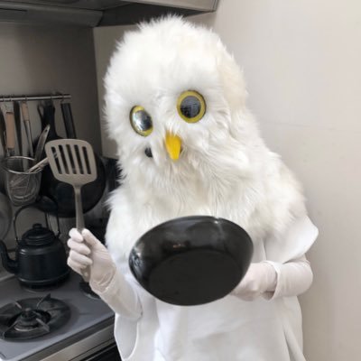dot_owl's profile picture