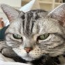 Mimie NYC's profile picture