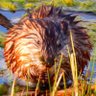 Enginerd's profile picture