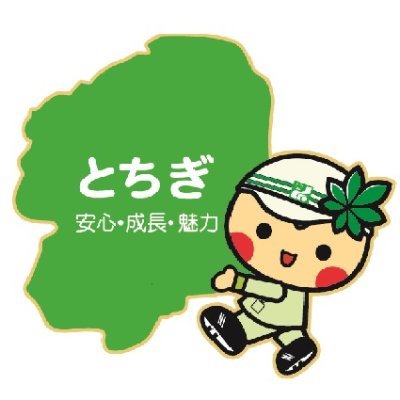 tochigi_kendo's profile picture