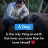 Фото профиля happy man always (Ranju d honest boy)🤙