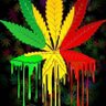 Kevin Murphy☮'s profile picture
