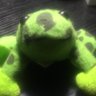 KingFloppyBalls's profile picture