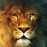 Фото профиля Aslan