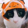 Profilbild von なんなん